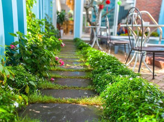 Bed and Breakfast Peach House Hoi An Exterior foto